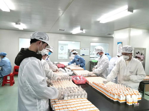 逆風強勢出海 高新區麓谷醫藥企業奏響外貿 春之序曲