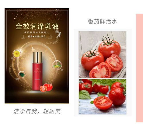 全麗產品最前線 全麗最新研發成果全新top系列 下篇
